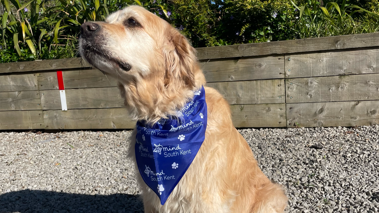 Paws for Mind: A Sponsored Dog Walk to Support Mental Health in South Kent