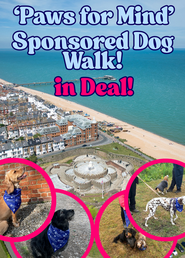 Paws for Mind in Deal Social Media Post